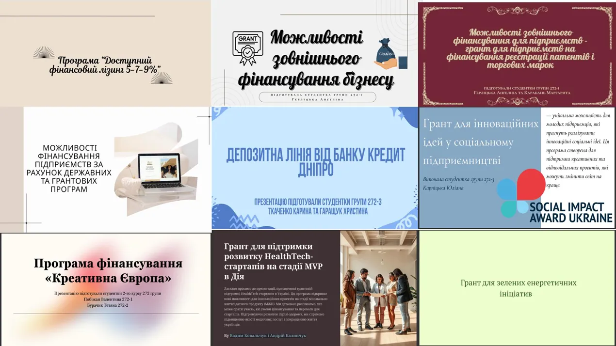 Гранти та держпідтримка: у ЧНУ обговорили сучасні можливості фінансування бізнесу